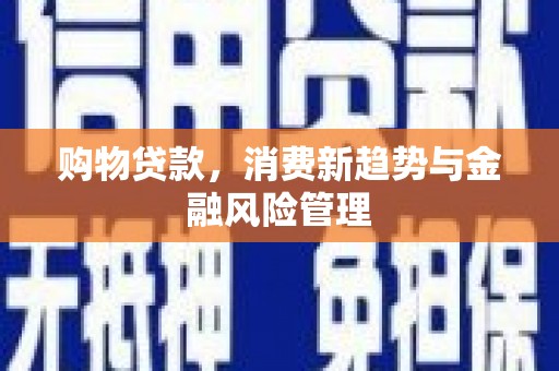 工布江达购物贷款，消费新趋势与金融风险管理