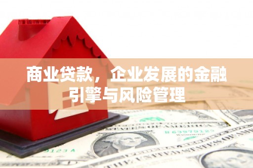 工布江达商业贷款，企业发展的金融引擎与风险管理