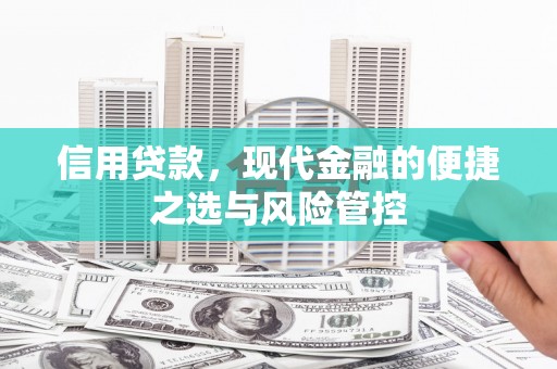 工布江达信用贷款，现代金融的便捷之选与风险管控