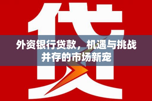 工布江达外资银行贷款，机遇与挑战并存的市场新宠