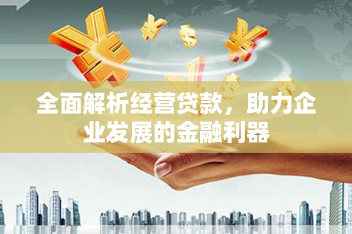 工布江达全面解析经营贷款，助力企业发展的金融利器