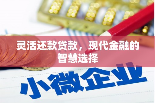 工布江达灵活还款贷款，现代金融的智慧选择
