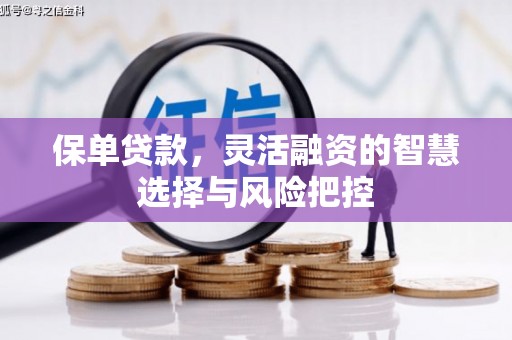 工布江达保单贷款，灵活融资的智慧选择与风险把控