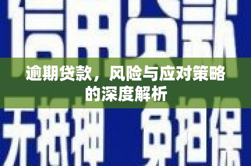 工布江达逾期贷款，风险与应对策略的深度解析