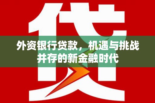 工布江达外资银行贷款，机遇与挑战并存的新金融时代