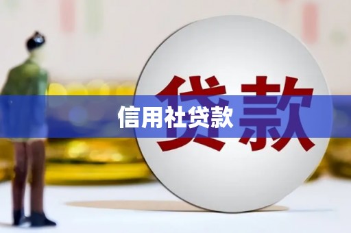 工布江达信用社贷款
