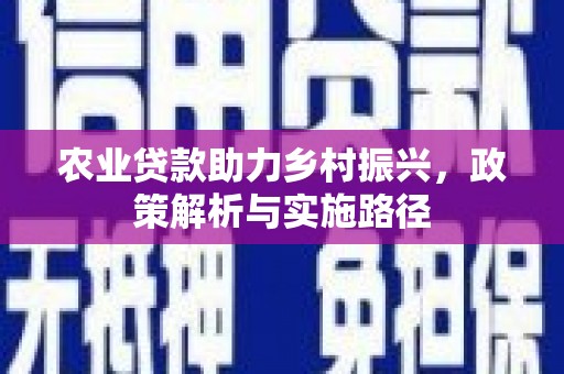 工布江达农业贷款助力乡村振兴，政策解析与实施路径