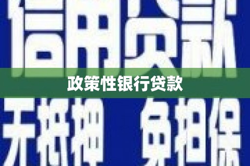 工布江达政策性银行贷款