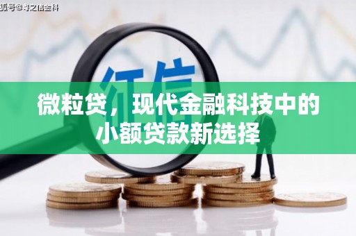 工布江达微粒贷，现代金融科技中的小额贷款新选择