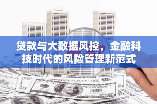 工布江达贷款与大数据风控，金融科技时代的风险管理新范式