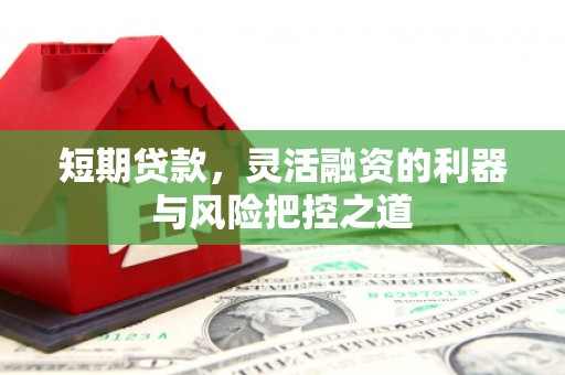 工布江达短期贷款，灵活融资的利器与风险把控之道