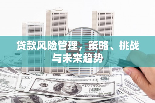 工布江达贷款风险管理，策略、挑战与未来趋势