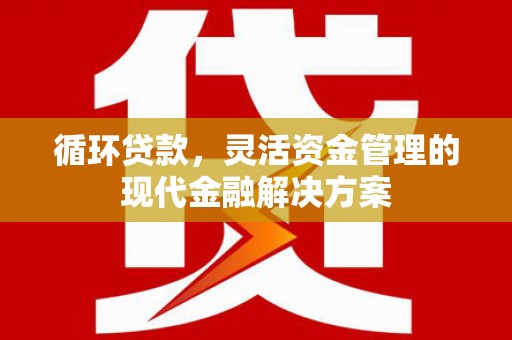 工布江达循环贷款，灵活资金管理的现代金融解决方案