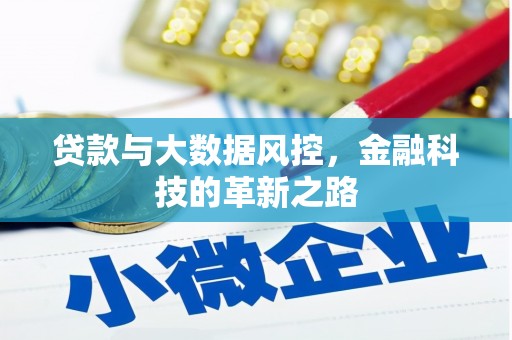 工布江达贷款与大数据风控，金融科技的革新之路