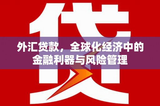 工布江达外汇贷款，全球化经济中的金融利器与风险管理