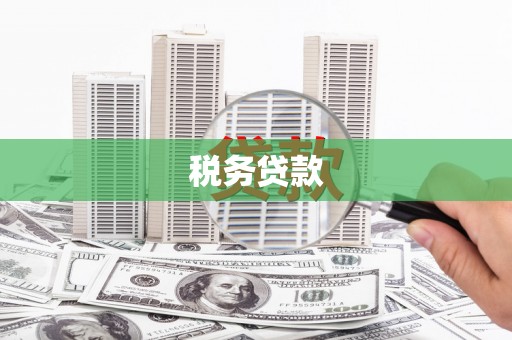 工布江达税务贷款