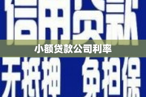 工布江达小额贷款公司利率