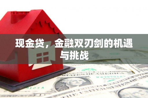 工布江达现金贷，金融双刃剑的机遇与挑战