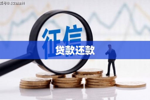 工布江达贷款还款