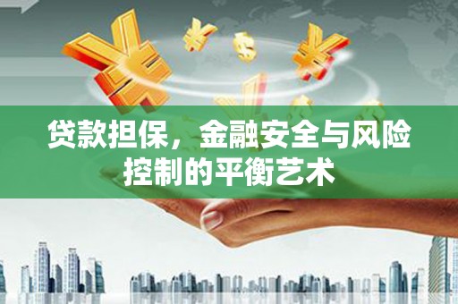 工布江达贷款担保，金融安全与风险控制的平衡艺术