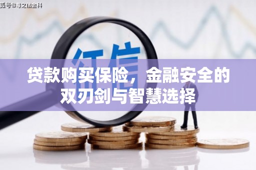 工布江达贷款购买保险，金融安全的双刃剑与智慧选择
