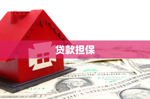 工布江达贷款担保