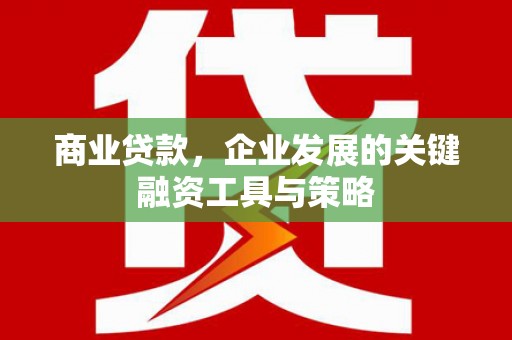 工布江达商业贷款，企业发展的关键融资工具与策略