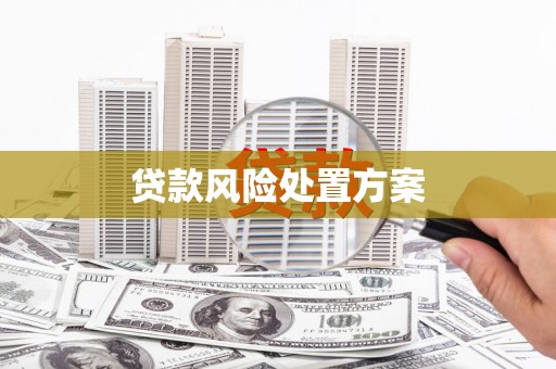 工布江达贷款风险处置方案