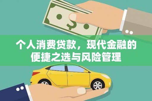 工布江达个人消费贷款，现代金融的便捷之选与风险管理