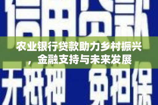 工布江达农业银行贷款助力乡村振兴，金融支持与未来发展