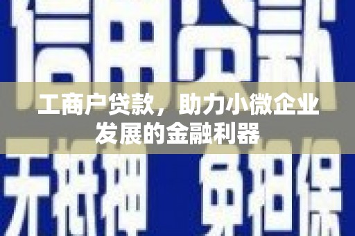 工布江达工商户贷款，助力小微企业发展的金融利器