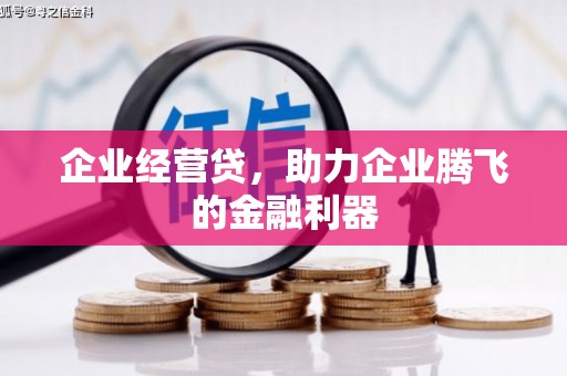 工布江达企业经营贷，助力企业腾飞的金融利器