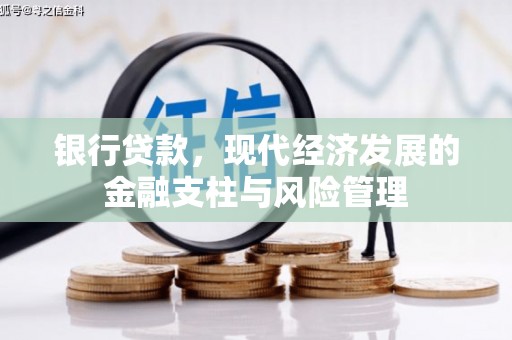 工布江达银行贷款，现代经济发展的金融支柱与风险管理