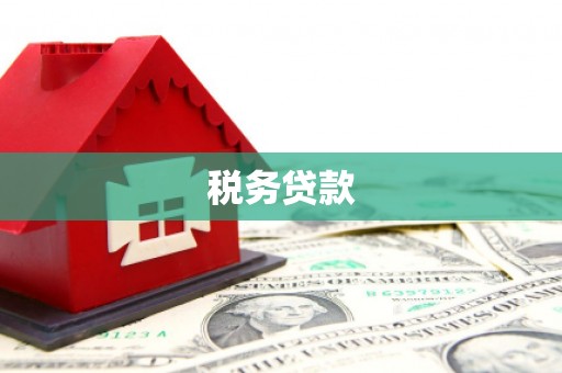 工布江达税务贷款