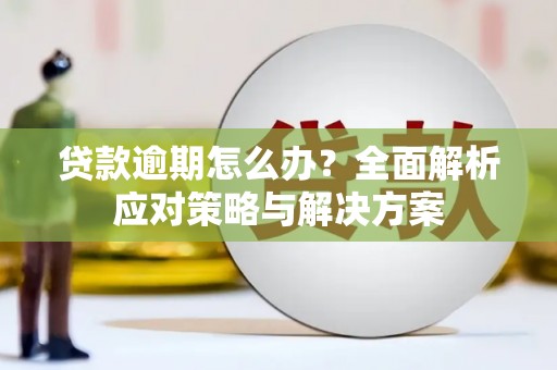 工布江达贷款逾期怎么办？全面解析应对策略与解决方案