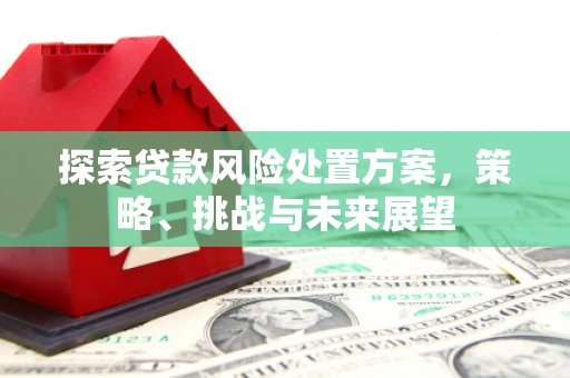 工布江达探索贷款风险处置方案，策略、挑战与未来展望