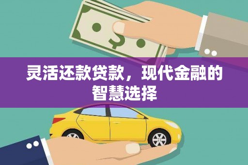 工布江达灵活还款贷款，现代金融的智慧选择