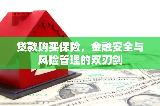 工布江达贷款购买保险，金融安全与风险管理的双刃剑