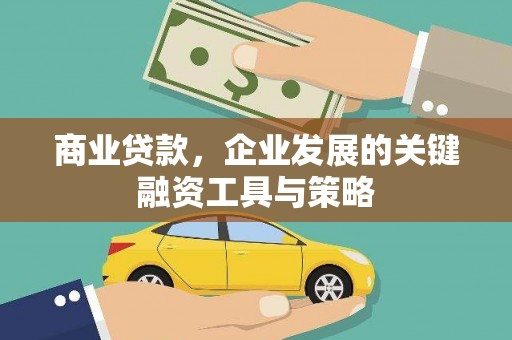 工布江达商业贷款，企业发展的关键融资工具与策略