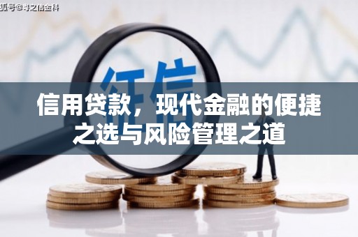 工布江达信用贷款，现代金融的便捷之选与风险管理之道