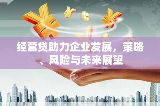 工布江达经营贷助力企业发展，策略、风险与未来展望
