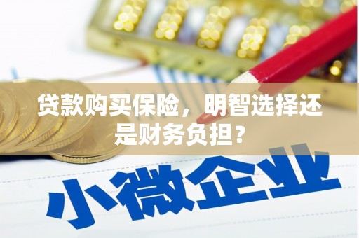 工布江达贷款购买保险，明智选择还是财务负担？