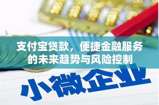 工布江达支付宝贷款，便捷金融服务的未来趋势与风险控制