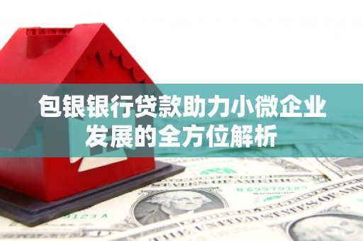 工布江达包银银行贷款助力小微企业发展的全方位解析 工布江达包银银行贷款助力小微企业发展的全方位解析