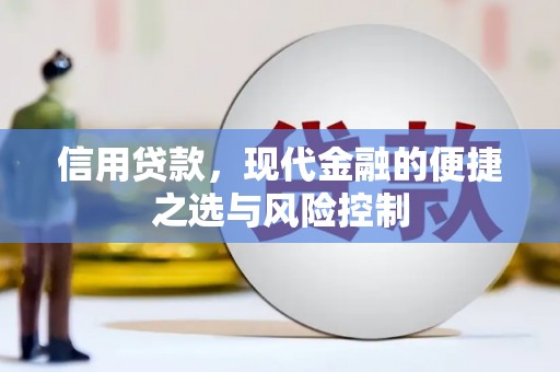 工布江达信用贷款，现代金融的便捷之选与风险控制