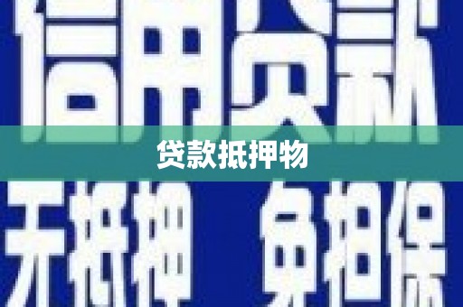 工布江达贷款抵押物