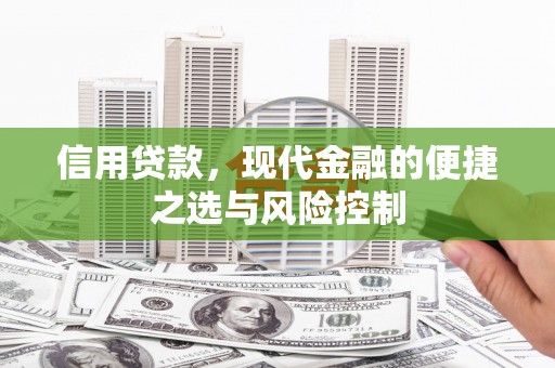 工布江达信用贷款，现代金融的便捷之选与风险控制