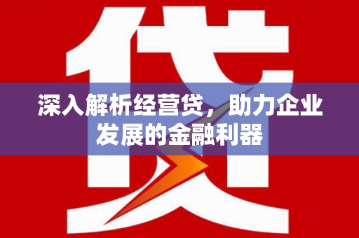 工布江达深入解析经营贷，助力企业发展的金融利器