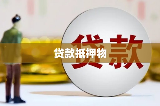 工布江达贷款抵押物