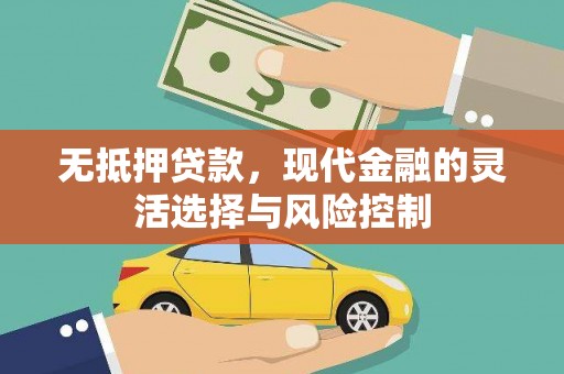 工布江达无抵押贷款，现代金融的灵活选择与风险控制